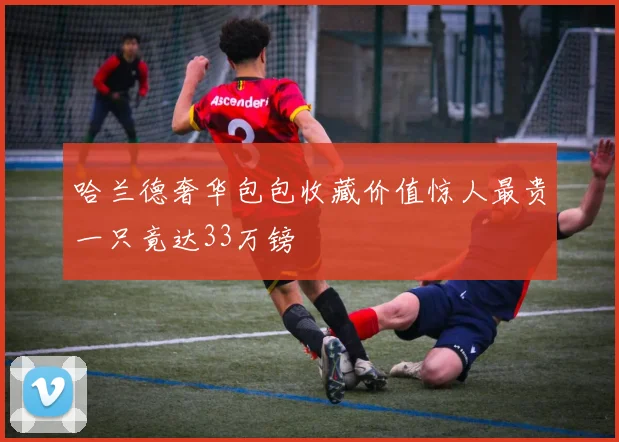 哈兰德奢华包包收藏价值惊人最贵一只竟达33万镑